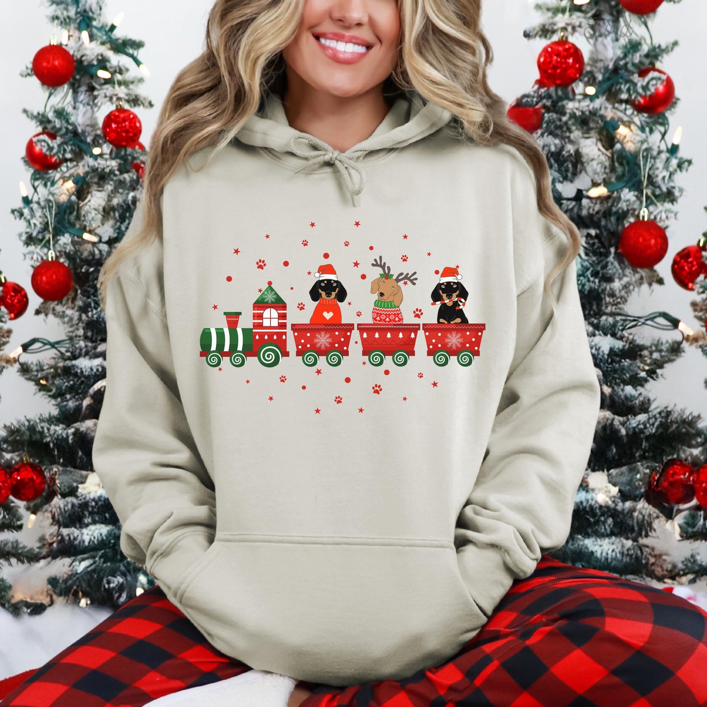 Dachshund Christmas Sweater V2